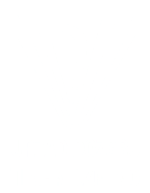 Urząd Dozoru Technicznego